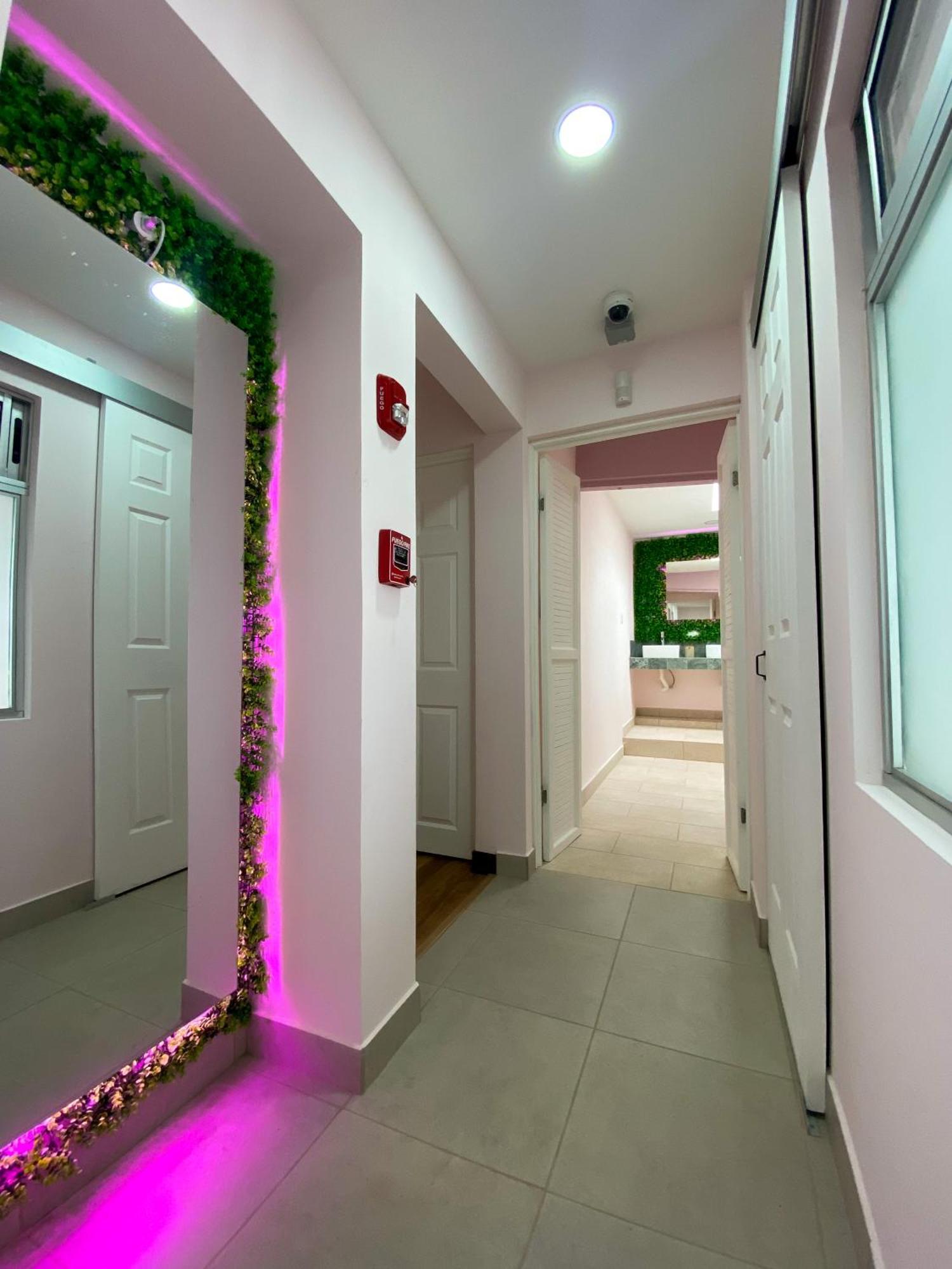 Casa Pandora Hostel Women Only Сан-Хосе Екстер'єр фото